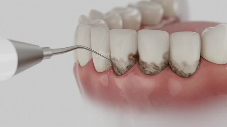 Reliable Dental contractor in Glen Burnie, MD by Dentist Open Now